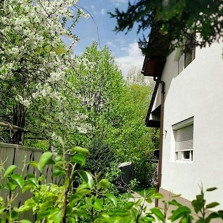 Casa File De Poveste Targu Jiu Ngoại thất bức ảnh