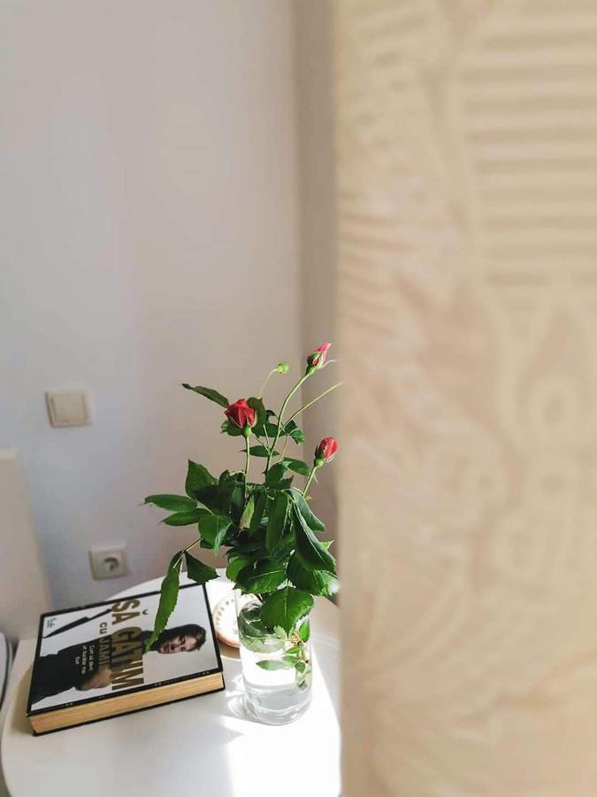 Casa File De Poveste Targu Jiu Ngoại thất bức ảnh