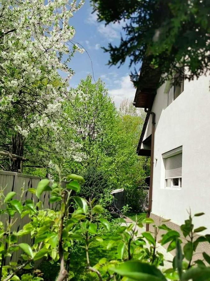 Casa File De Poveste Targu Jiu Ngoại thất bức ảnh