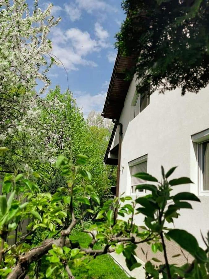 Casa File De Poveste Targu Jiu Ngoại thất bức ảnh