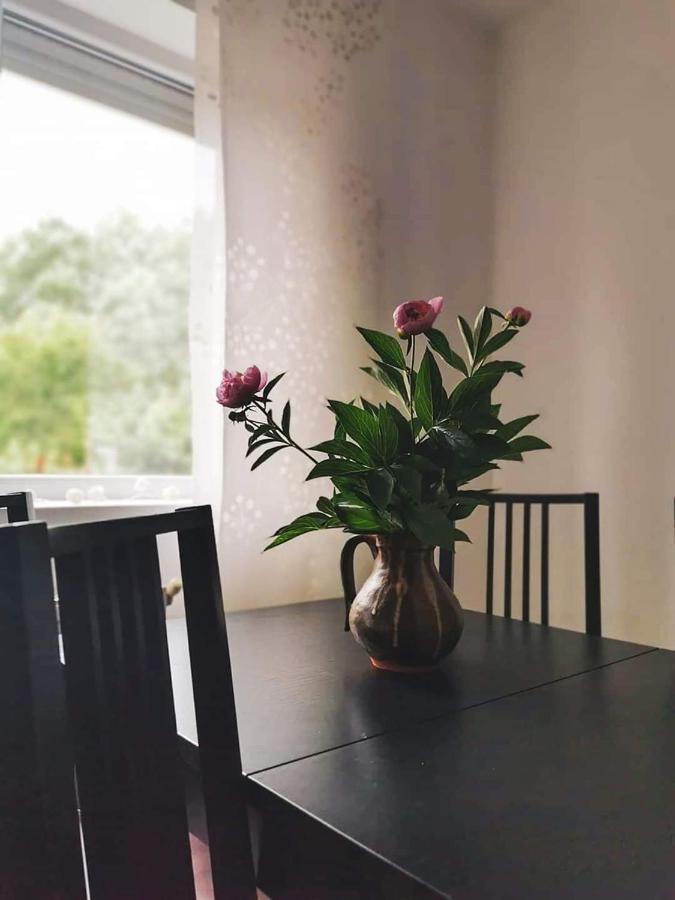 Casa File De Poveste Targu Jiu Ngoại thất bức ảnh
